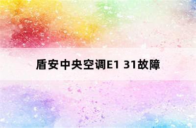 盾安中央空调E1 31故障